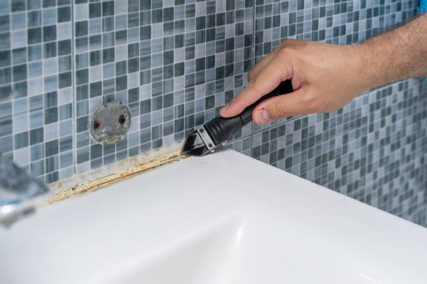 Best Bathroom Mold Remediation in Lorenzo, TX