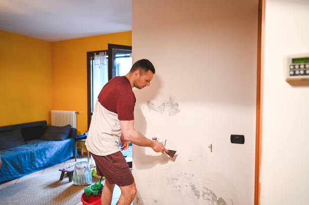 Best Residential Mold Remediation in Lorenzo, TX