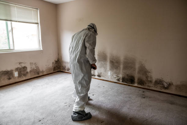 Best Crawl Space Mold Remediation in Lorenzo, TX